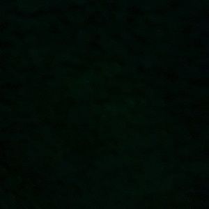 Meet your Posher, Leonor